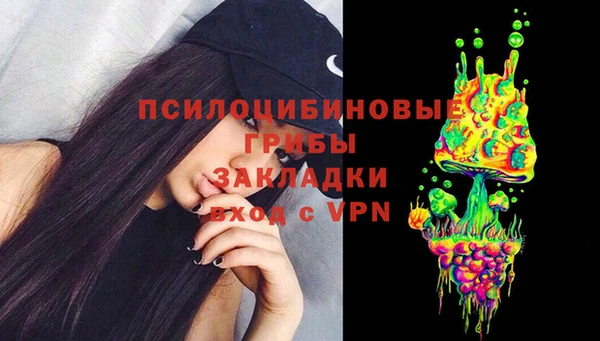 ECSTASY Армянск
